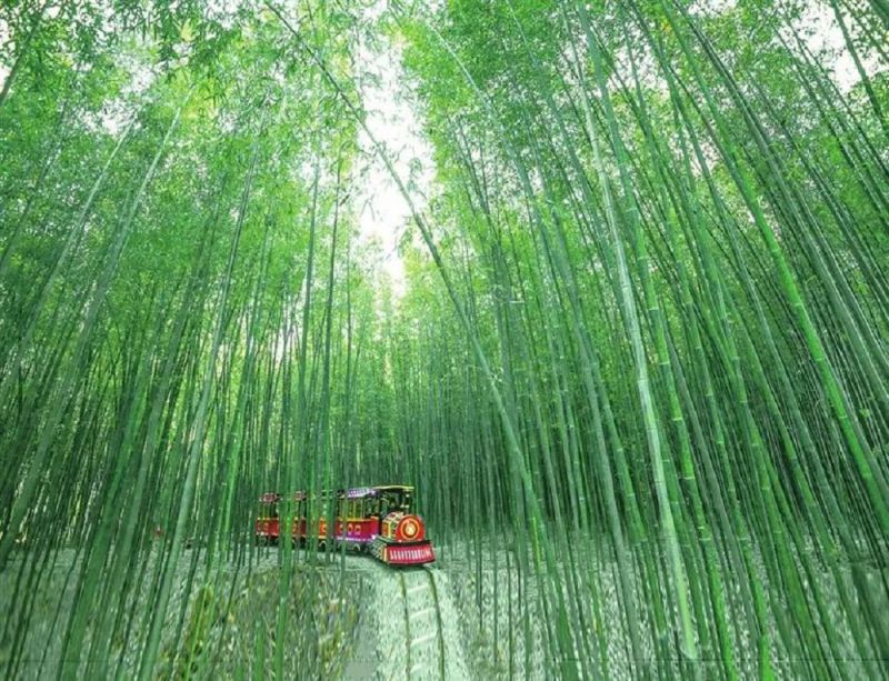 西张赶村