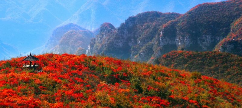 龙腾靳家岭