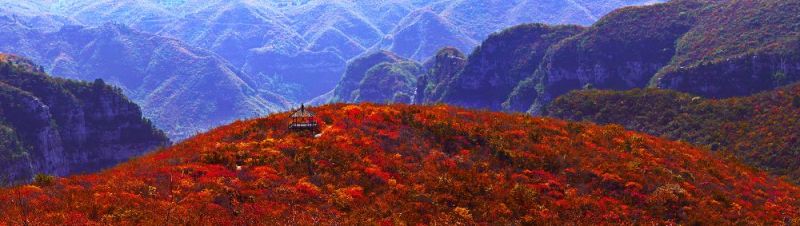 靳家岭之秋